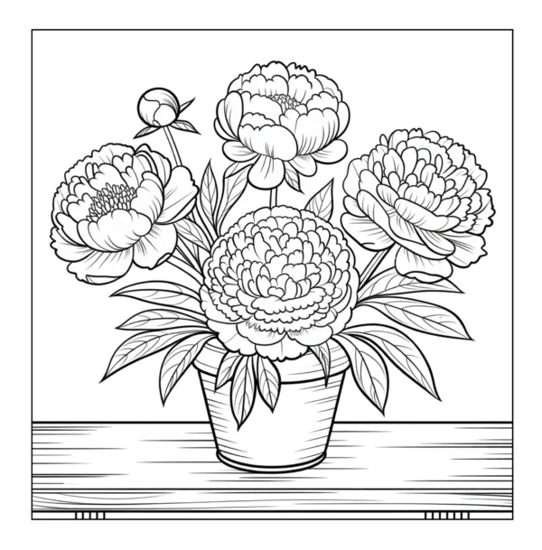 Peony flowers in a flower pot.