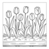 Tulips growing in a flower bed.