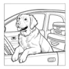 Dogs in Cars Coloring Book - 40 Pages