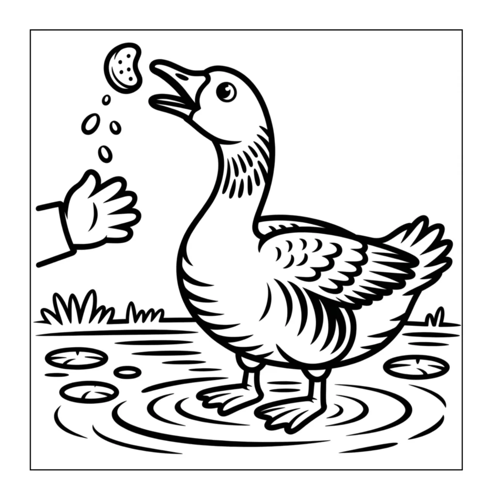 Hand feeding cookie to a goose.