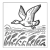 Goose Coloring Book - 40 Pages