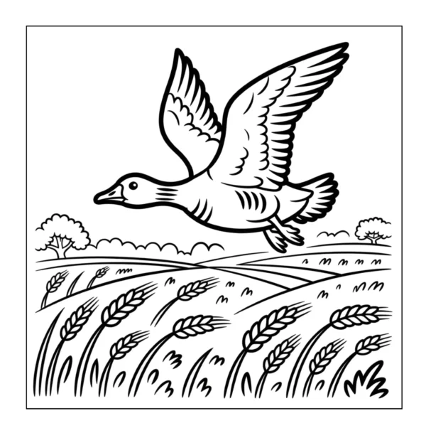 Goose Coloring Book - 40 Pages
