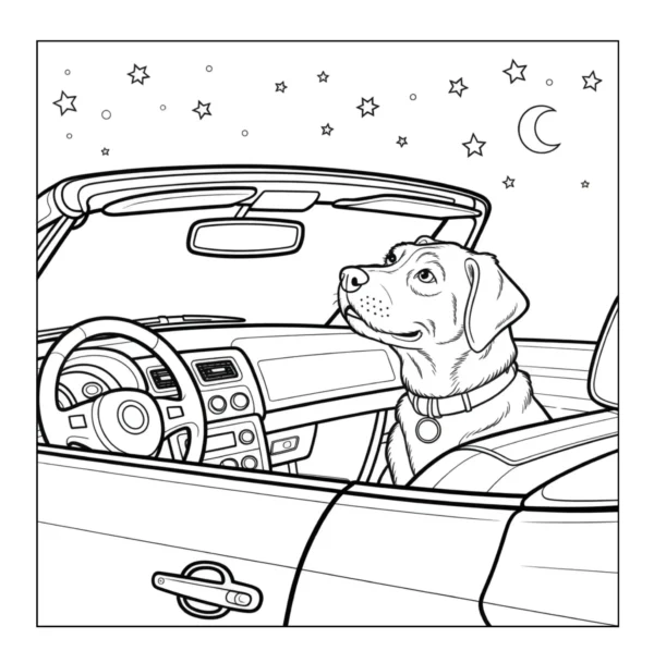 Dogs in Cars Coloring Book - 40 Pages