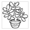 Potted Jade Plant Potted jade plant with thick leaves