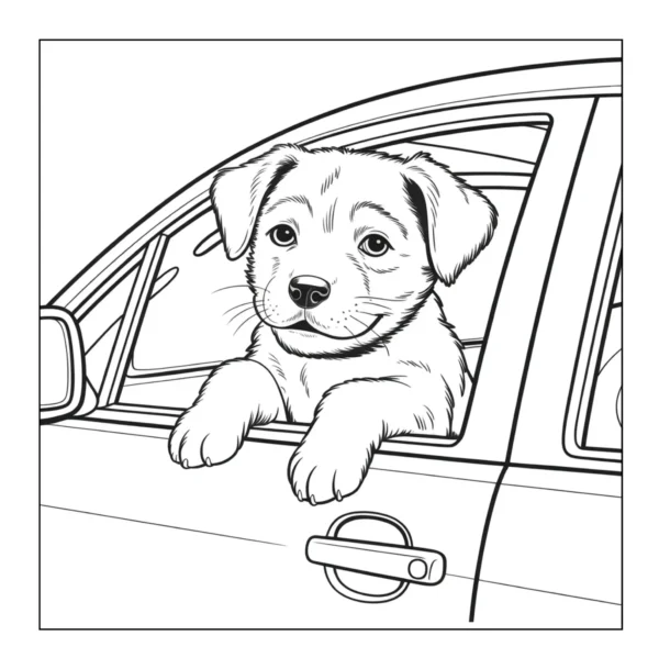 Dogs in Cars Coloring Book - 40 Pages