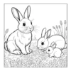 Three Little Bunnies Colorado Springs Coloring Book - 40 Pages