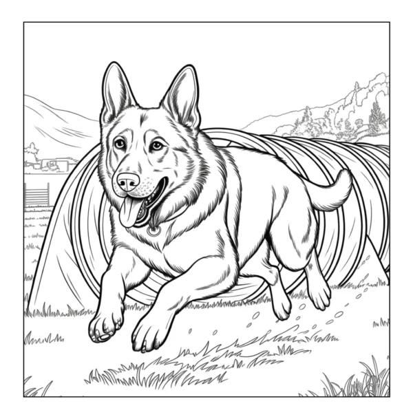 German Shepherd running through tunnel.