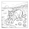 Beach Walking Cat Cat walking on a sandy beach.