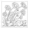 Group of blooming daisies outdoors.