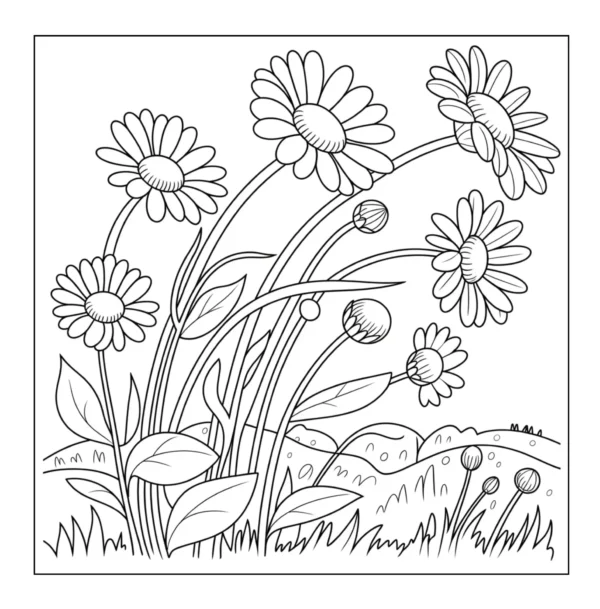 Group of blooming daisies outdoors.