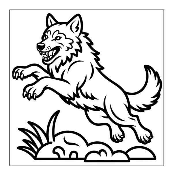 Fierce Jumping Wolf Fierce wolf leaping over wilderness rocks.