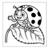 Ladybug waving on a green leaf.