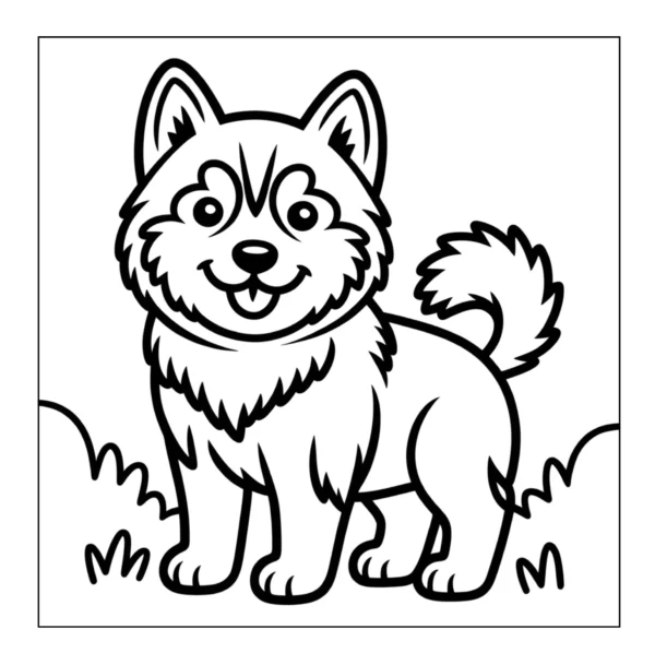 Fluffy puppy standing on grass.