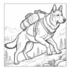 German Shepherd carrying a backpack.