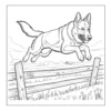 German Shepherd jumping a fence.