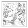 Mangrove Forest Swim Sea turtle swimming in mangroves.