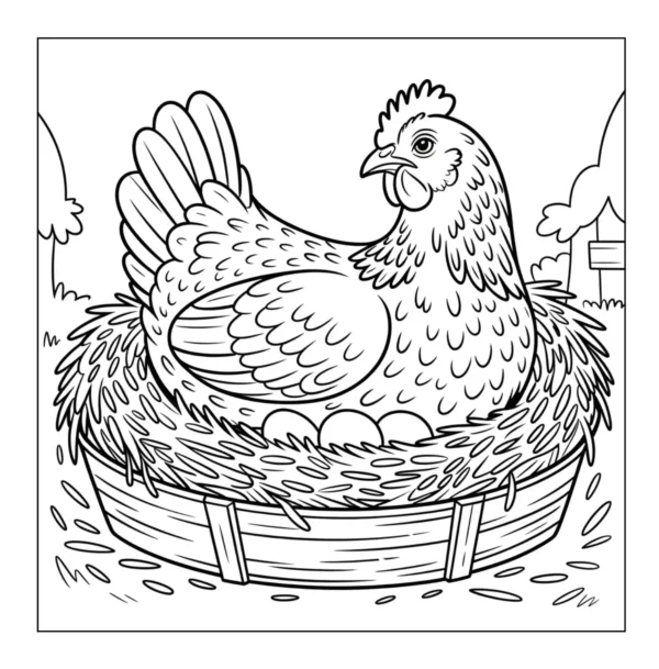 Hen sitting on nest eggs.