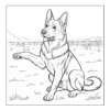 German Shepherd sitting on grass.