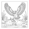 Owl catching fish in water.