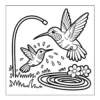 Playing Water Birds Two hummingbirds splashing in water.