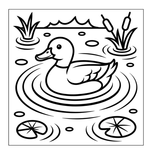 Calm duck swimming on pond.