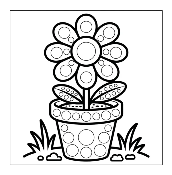 Daisy flower growing in a pot.