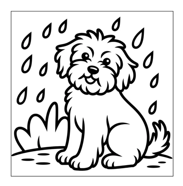 Rainy Day Puppy Fluffy puppy sitting in the rain.