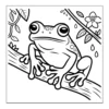 Resting On Branch Frog resting on tree branch.