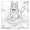 German Shepherd splashing in water.