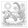 Turtle resting on garden stone.