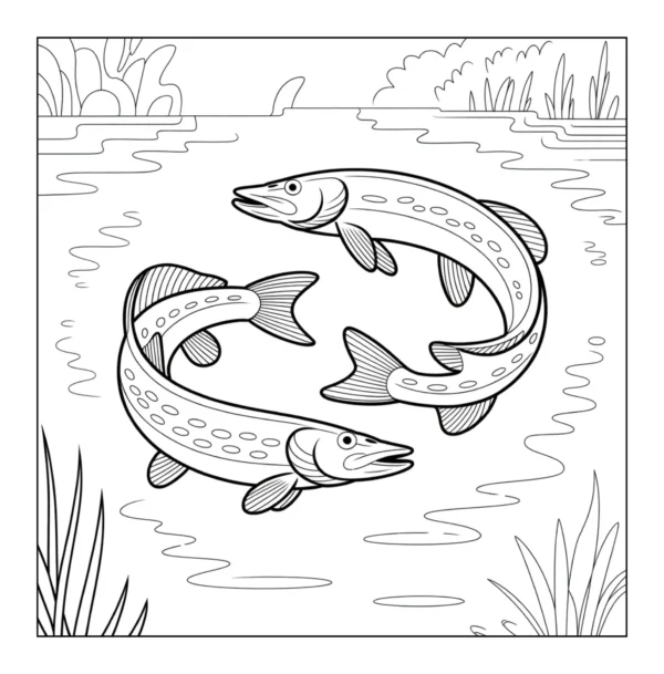 Two fish swimming in river.