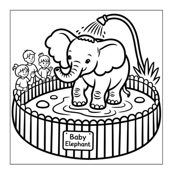 Baby elephant bathing with kids watching.