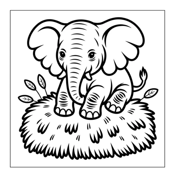 Cute Baby Elephant Baby elephant standing on grass.