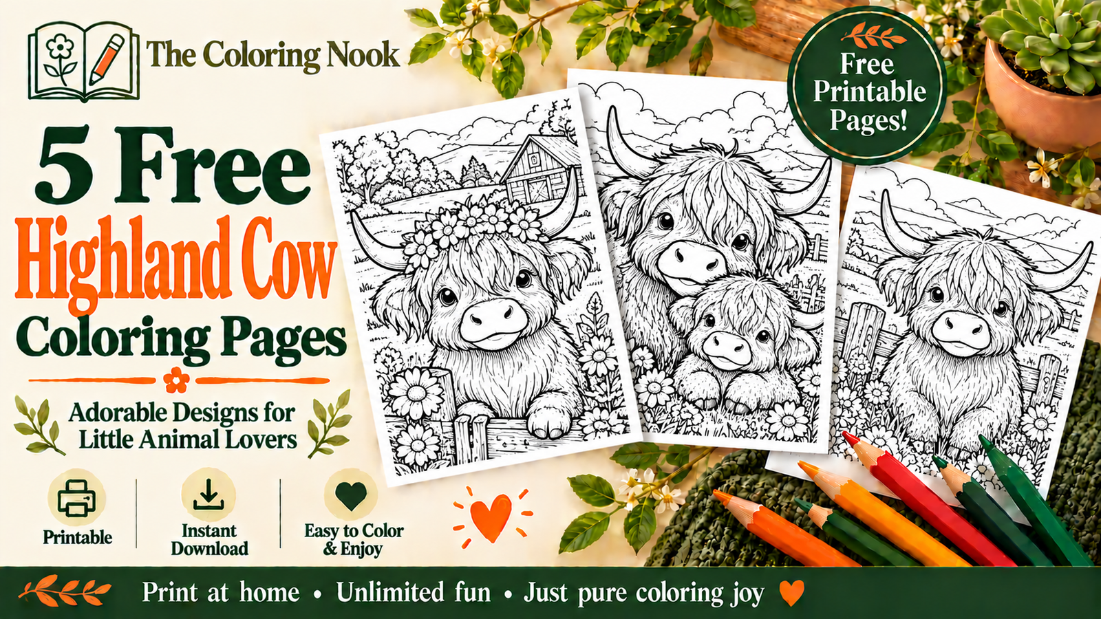 Highland Cow Coloring Pages