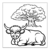 Fluffy cow resting under tree shade.