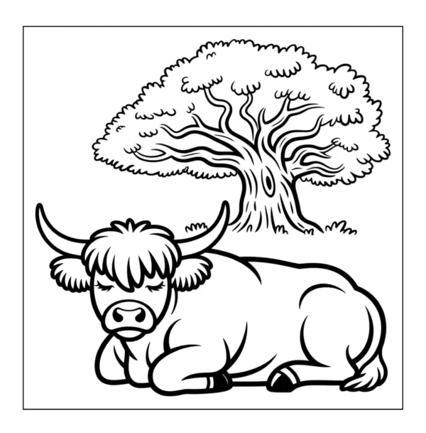 Fluffy cow resting under tree shade.